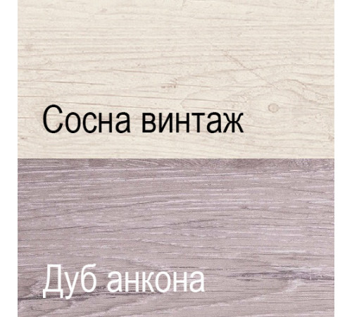 Двухстворчатый шкаф для одежды Монако 2DG2S